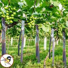 Double-Sided Bird Repellent Ribbons, High-Brightness Fruit Tree Colorful Laser Bird Repellent Strips, Garden Decorative Ribbons,Bird Reflective Tape, Double-Sided Bird Scare Tape, Suitable For Outdoor Gardens, Farms, Orchards Or Yards - Multicolor - View 3