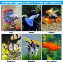 Waterproof Magnetic Seaweed Clip Saltwater Fish Feeding Nori Clip Aquariums Magnet Veggie Feeder Plant Clamp Fish Accessories-Patented Product (1pcs Magnetic Veggie Clip) - 1pcs Magnetic Veggie Clip - View 9