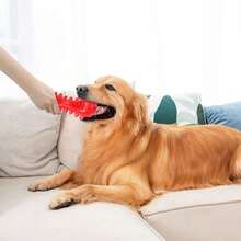 1pc Pet Chew Toy, Dog Supplies Durable Teeth Cleaning Chew Stick, Interactive Anti-Obesity Dog Toy, Durable Chew Resistant Puzzle Feeder Toy - 彩色 - 查看 5
