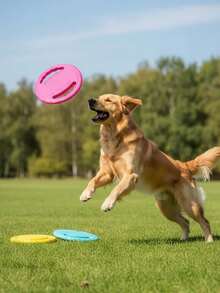 1pc Dog Flying Disc Training Toy Durable Plastic Material Dog Chew Toy Human-Pet Interactive Outdoor Interactive Dog Toy Suitable For Park, Beach, Lawn, Dog Sports Training Long Distance Throw Floating Water - Multicolor - View 8