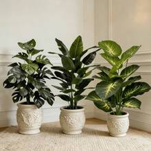 Bộ 3 cây giả lớn chân thực (Cây chuối sáng màu và cây Monstera xanh quanh năm) - Thiết kế cho môi trường ngoài trời, cảnh quan rừng nhiệt đới không cần bảo dưỡng, cây trồng trong chậu trong nhà/ngoài trời quanh năm. Phù hợp cho đám cưới, khách sạn, vườn và sân phong cách Bắc Âu - Nhiều màu - Xem 3