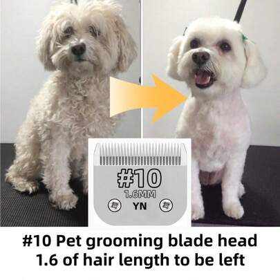 可拆卸陶瓷宠物剪刀刀片，10号，适用于大多数Oster A5电推剪，采用陶瓷刀片和不锈钢刀片制成，切割长度1/16英寸（1.5毫米），宠物美容配件，专业美容