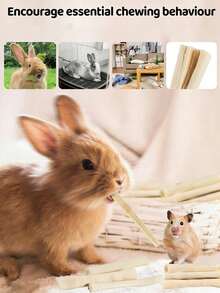 100克甜竹磨牙棒 | 小型动物磨牙零食和玩具，适用于兔子、龙猫、豚鼠、松鼠和仓鼠 - 查看 6