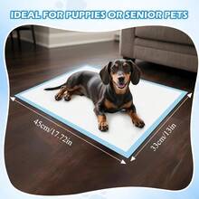 Extra Large Pet Training Pads, Puppy Pee Pads, Super Absorbent Leak-Proof - one-size - View 3