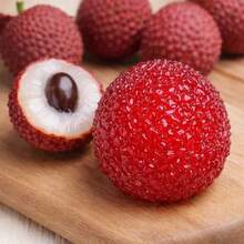 荔枝造型成人减压桌面玩具 | 趣味手持桌面礼品 | 创意柔软挤压感 | 办公桌及家居必备 | 派对礼品及节日礼物 | 成人玩具、趣味发泄工具、桌面装饰 - 彩色 - 查看 13