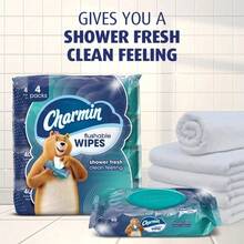Flushable Wipes 4 Pack, 7.2 In X 5.0 In, Superior Clean Vs Dry Alone, Satisfaction Household Essential - 4 packs - 查看 4