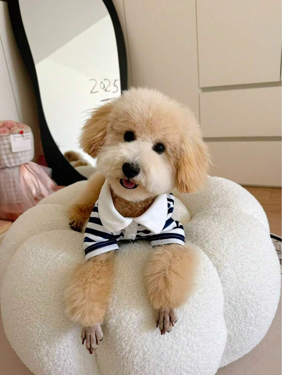 1 pieza Camiseta a rayas para perro, camisa a rayas transpirable de verano para mascotas, adecuada para schnauzer, maltés, caniche, yorkshire, bichón frisé y otros perros pequeños, camisa polo fresca para perros