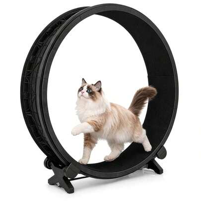 Cat Exercise Running Wheel Large, Quiet Indoor Pet Wheel For Cats & Small Pets, Fun Activity Toy For Home Use