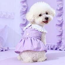 1 pieza Vestido de mascota de cuello Peter Pan de verano, ligero, para perros y gatos pequeños/medianos - Multicolor - Ver 8