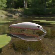Marine Sports Predator 11.5cm 17g Mid-Water Artificial Lure - COR-POT-65 - 查看 6