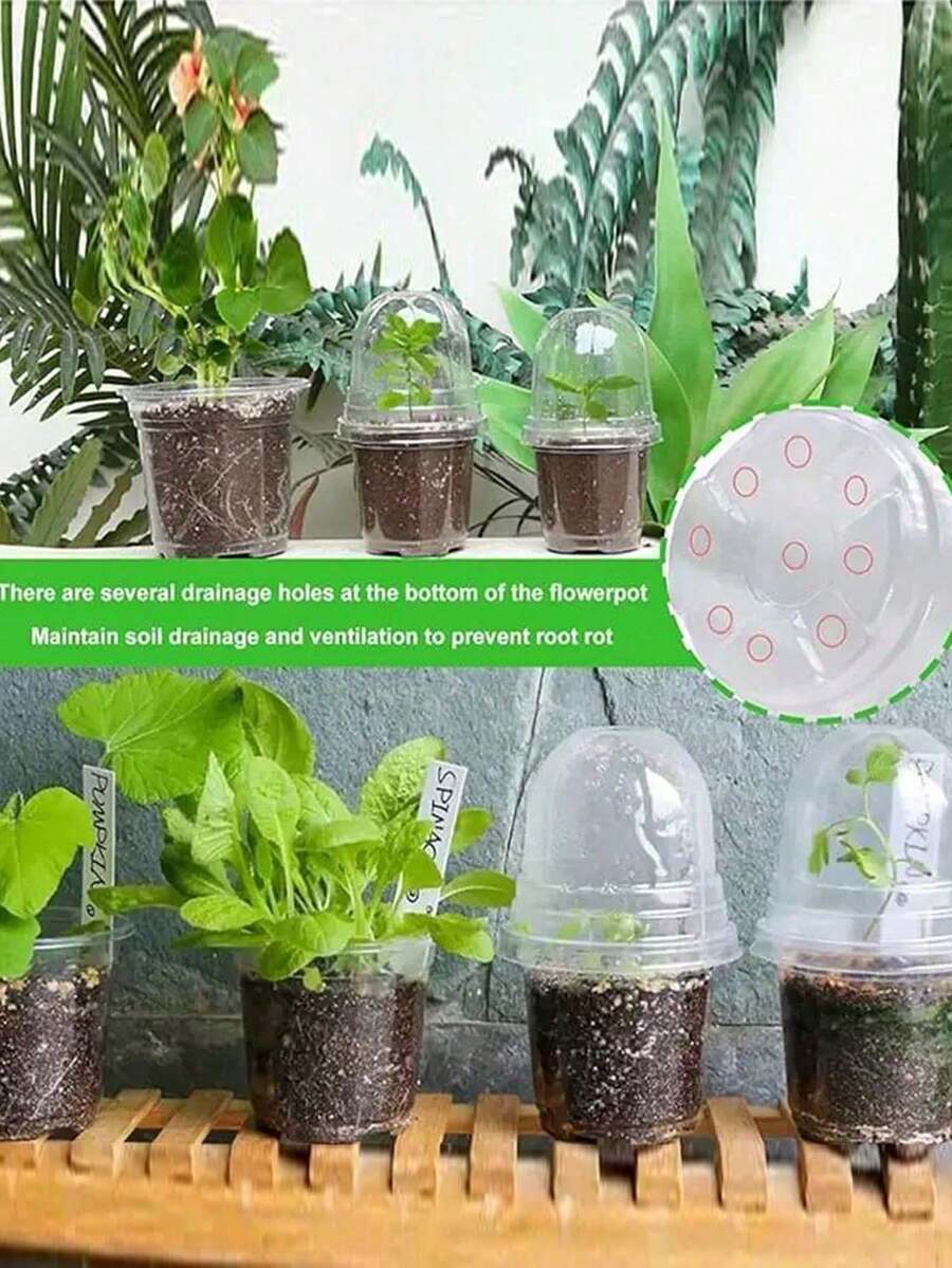 10pcs Transparent Plastic Plant Nursery Pots With Humidity Dome, 5/4/3.5 Inch Waterproof Indoor Gardening Flower Pots - One Size Fits All - View 1