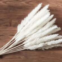 90pcs Bouquet Of Natural Dried White Pampas Grass | Bohemian Wedding Flowers, Large Stem Natural Reed Grass For Home Centerpieces, Bohemian Floral Arrangements, Enduring Natural Beauty For Weddings And For Home Decoration - White - View 5
