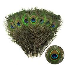 12pc Peacock Feather  In Bulk 10-12 Inch 2-30cm For  Vae  He Party Chritma Day Decoran Peacock Feather - Green - View 7