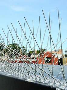 5/10 Pcs Bird Repellent Spikes With Plastic Base Durable Stainless Steel Bird Spike Easy Setup Wide Use Birds Spikes For Garden Fence Wall Windows Roof Mailbox Outside - Bird Deterrent Spikes - View 2