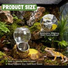 Reptile & Feeder, Escape Proof Feeding Bowl With Removable Stainless Steel Dish Mealworms - 1 - View 4