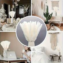 90pcs Bouquet Of Natural Dried White Pampas Grass | Bohemian Wedding Flowers, Large Stem Natural Reed Grass For Home Centerpieces, Bohemian Floral Arrangements, Enduring Natural Beauty For Weddings And For Home Decoration - White - View 7