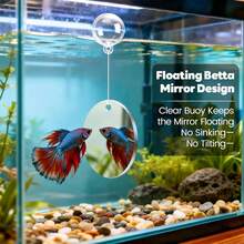 Betta Fish Toys, 1 Betta Fish Tunnel Hammock, 1 Fish Mirror With Floating Ball & 2 Exercise Training Ring Toys, Betta Fish Accessories - 1 - View 3