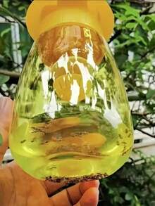 1pc Reusable Hanging Fruit Fly Trap, Suitable For Kitchen And Orchard Pest Control, No Power Needed, Plastic Material, For Garden And Home Use, 15cm Large Yellow Fly Paper, Fly Trap Bottle, Fruit Fly Trap, Fruit Fly Bait (Bait Not Included), Insect Trap, Home Decor, Household Item, Mother's Day Gift - Multicolor - View 3