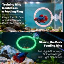 Betta Fish Toys, 1 Betta Fish Tunnel Hammock, 1 Fish Mirror With Floating Ball & 2 Exercise Training Ring Toys, Betta Fish Accessories - 1 - View 4