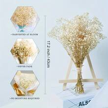 Dried Flower Bouquet - 70g - 查看 2