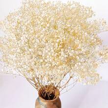 Dried Flower Bouquet - 70g - 查看 1