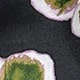 黑底綠花