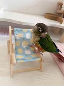 1pc Bird Supplies, Small Wooden Beach Lounge Chair For Parrots, Bird Chewing Toy Bird Supplies Birdcage Accessories - Multicolor - View 9