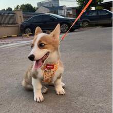2 pezzi Set di pettorina riflettente per cani e guinzaglio da 1,5 m, pettorina per il petto traspirante adatta per cani di piccola, media e grande taglia, pettorina per cuccioli, set di accessori per guinzaglio e pettorina per passeggiare il cane - Giallo - Visualizzare 8