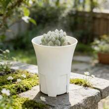 2 chậu trồng cây mọng nước hình tròn có lỗ thoát nước bên hông, chậu hoa để bàn bằng nhựa mờ dày dặn. - Đen trắng - Xem 2