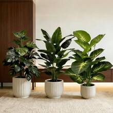 Bộ 3 cây giả lớn chân thực (Cây chuối sáng màu và cây Monstera xanh quanh năm) - Thiết kế cho môi trường ngoài trời, cảnh quan rừng nhiệt đới không cần bảo dưỡng, cây trồng trong chậu trong nhà/ngoài trời quanh năm. Phù hợp cho đám cưới, khách sạn, vườn và sân phong cách Bắc Âu - Nhiều màu - Xem 8