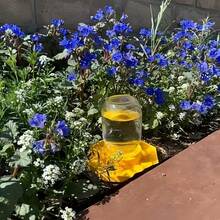 1件裝蜜蜂澆水站 六角形蜂巢式蜜蜂飲水器 防溺水授粉者供水器 附汽水瓶轉接頭 戶外後院露台草坪養蜂場花園養蜂設備 適用養蜂人、家庭園藝愛好者、野外授粉者照護工具 - A - 查看 2
