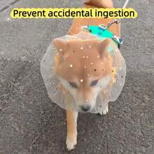 3件装透气网眼宠物头套，防舔舐伤口，遛狗安全，舒适 - 彩色 - 查看 6