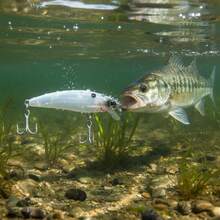 Fishing Lures - COLOR - HWT - View 5