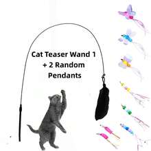 1pc Cat Teaser Wand Toy, Pet Artificial Feather Bell Replacement, Suitable For Cat Exercise And Entertainment, Handheld Wand With Interchangeable Insect Head Attachments - View 12