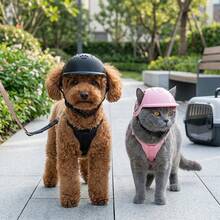 1pc Adjustable Pet Outdoor Helmet, Suitable For Dogs And Cats Riding Helmet, Pet Protective Cap, Pet Accessories, Motorcycle Sports Accessories For Small To Medium Pets - Multicolor - View 2