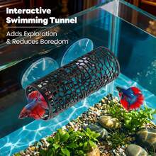 Betta Fish Toys, 1 Betta Fish Tunnel Hammock, 1 Fish Mirror With Floating Ball & 2 Exercise Training Ring Toys, Betta Fish Accessories - 1 - View 5