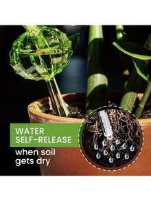 4/2pcs Reusable & Durable Plastic Material:Made Of High-Quality, Transparent Plastic, These Watering Spikes Are Reusable, And Built To Last, With A Clear Design That Lets You Easily Check The Water Level At A Glance. - B - View 6