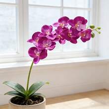 JHSHUDSE 2 pezzi Orchidee viola vivaci artificiali - Disegno realistico a farfalla, adatte per decorazioni primaverili, decorazioni per la casa, San Valentino, uso interno/esterno, centrotavola per la sala da pranzo, decorazioni per le vacanze, decorazioni per matrimoni e varie celebrazioni, durevoli | Aspetto floreale realistico | Orchidea in plastica - 2 viola - Visualizzare 7