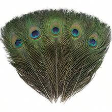 12 PC Real  Peacock Eye Feather 10-12 Inch For DIY   And Holiday Decoran - 12 - View 1