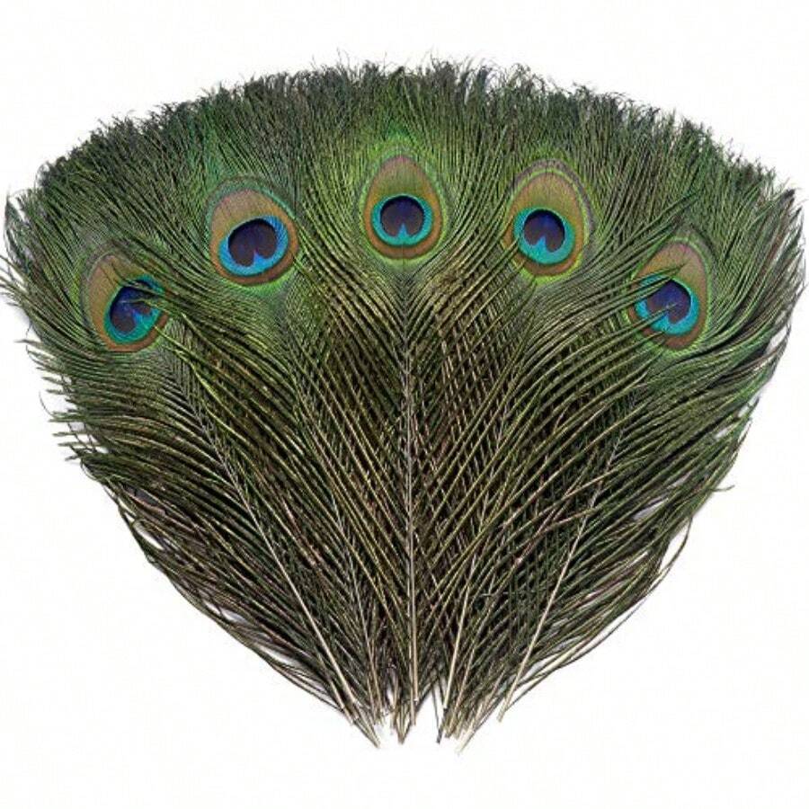 12 PC Real  Peacock Eye Feather 10-12 Inch For DIY   And Holiday Decoran - 12 - View 1