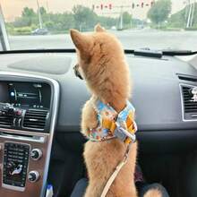 2pcs Reflective Dog Harness And 1.5m Leash Set, Breathable Pet Chest Strap Harness Suitable For Small, Medium And Large Dogs, Puppy Chest Strap And Leash Accessory Set - Blue - View 7