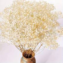 Dried Flower Bouquet - 70g - 查看 4