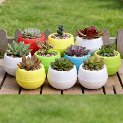 1 chiếc/10 chiếc Chậu trồng cây mọng nước mini bằng nhựa cầu vồng, Chậu hoa trang trí bàn làm việc, Chậu trồng cây tiểu cảnh ban công, Thích hợp cho sân vườn, ban công, cây trồng trong nhà/ngoài trời, trang trí trong nhà/ngoài trời