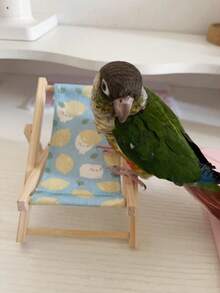 1pc Bird Supplies, Small Wooden Beach Lounge Chair For Parrots, Bird Chewing Toy Bird Supplies Birdcage Accessories - Multicolor - View 5