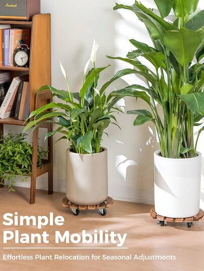 Giá đỡ chậu cây có bánh xe xoay 360 độ chịu tải nặng, chịu được trọng lượng lên đến 240 lbs (khoảng 109 kg), phù hợp với các chậu cây và thùng chứa lớn trong nhà/ngoài trời, rất lý tưởng cho phòng kính.