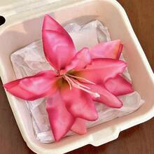 1个波西米亚风百合花发爪夹，花朵发爪情人节发夹发夹发卡发夹发饰，沙滩配饰秋冬发饰，适合女士度假装扮，夏季波西米亚风高级简约气质温柔甜美优雅百搭奢华Y2K时尚韩版精致个性创意休闲春夏秋冬防滑固定半扎发爪夹，适合日常通勤，适合浓密细软长短发，假日旅行适用 - 彩色 - 查看 7