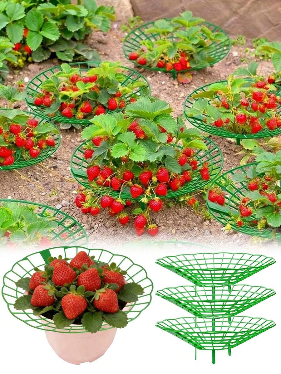 1/3/5pcs Green Strawberry Support Rack Set, Strawberry Planting Rack, Suitable For Strawberry Planting, Anti-Corrosion Gardening Accessory, Adopting Open Grid Design, Applicable For Strawberry And Small Vegetable Planting Support, Effectively Prevent Fruit From Contacting Soil And Molding, Improve Ventilation And Lighting Around Fruit, Prevent Drooping, Keep Fruit Clean And In Good Condition, Suitable For Garden, Vegetable Garden, Yard And Home Gardening - beraneka warna - View 1