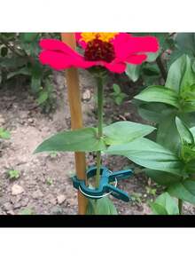 20个可调节植物夹 - 可重复使用的花卉、藤蔓、蔬菜和番茄园艺支撑架 - 耐用塑料材质，必备园艺工具 - A - 查看 8