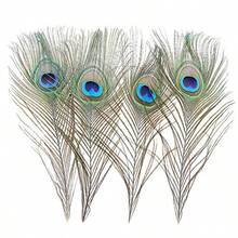 12 PC Real  Peacock Eye Feather 10-12 Inch For DIY   And Holiday Decoran - 12 - View 4