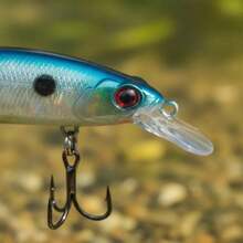 Marine Sports Predator 11.5cm 17g Mid-Water Artificial Lure - COR-BCT-66 - 查看 5
